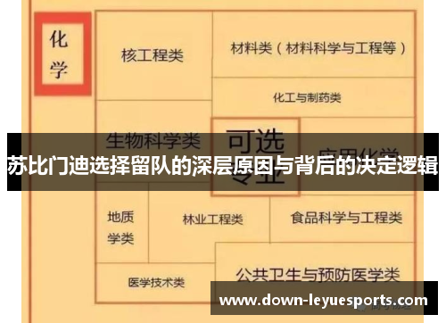 苏比门迪选择留队的深层原因与背后的决定逻辑 苏比门迪选择留队的深层原因与背后的决定逻辑