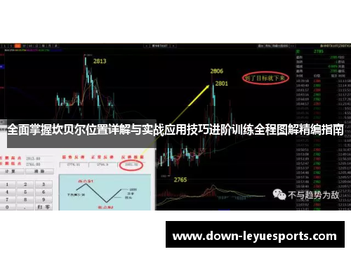全面掌握坎贝尔位置详解与实战应用技巧进阶训练全程图解精编指南 全面掌握坎贝尔位置详解与实战应用技巧进阶训练全程图解精编指南