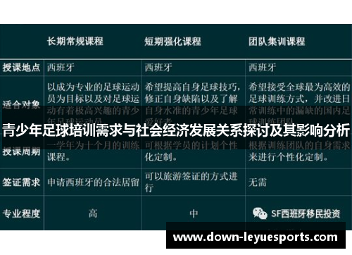 青少年足球培训需求与社会经济发展关系探讨及其影响分析