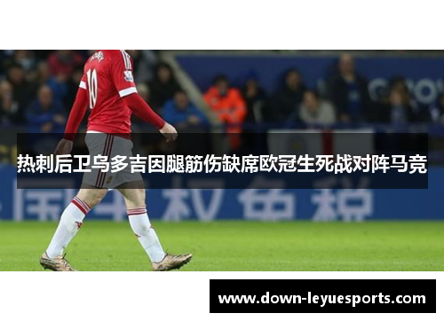 热刺后卫乌多吉因腿筋伤缺席欧冠生死战对阵马竞 热刺后卫乌多吉因腿筋伤缺席欧冠生死战对阵马竞